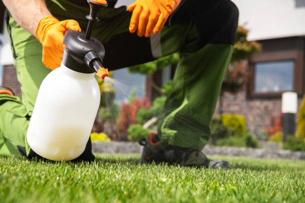 Best Pest Removal Services  in La Blanca, TX