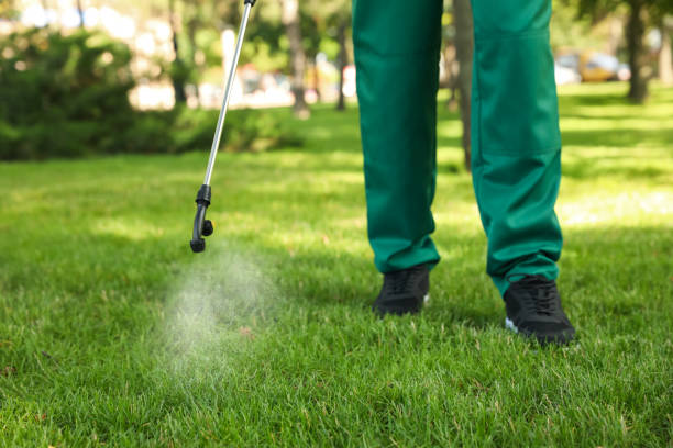 Professional Pest Control in La Blanca, TX