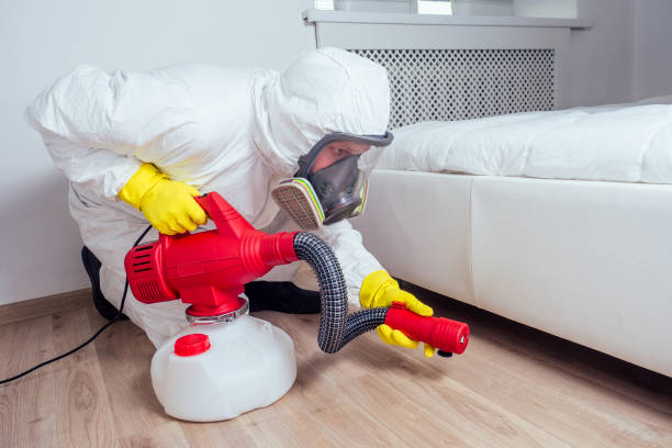 Best Flea Control Services  in La Blanca, TX
